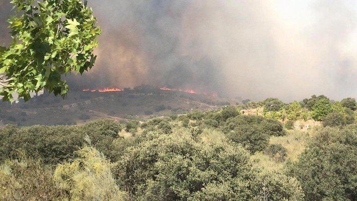 Un incendio forestal en Toledo obliga a desalojar varias viviendas