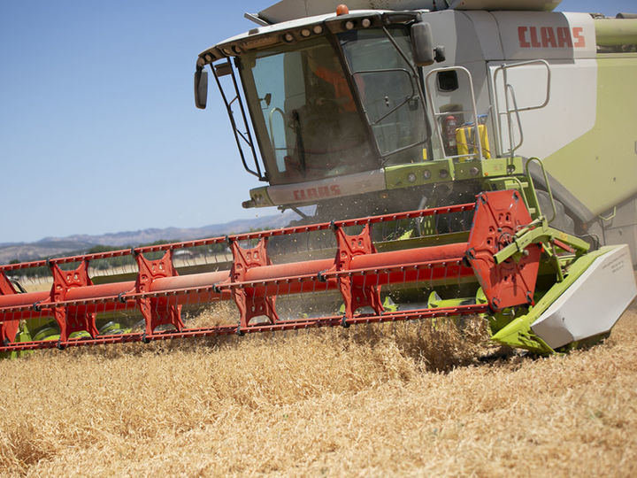 La consejeria de Agricultura plantea suspender la recolección mecánica de cereal en CLM por el calor