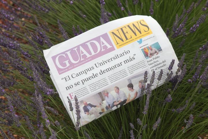 Continúa el aumento de las temperaturas en Guadalajara