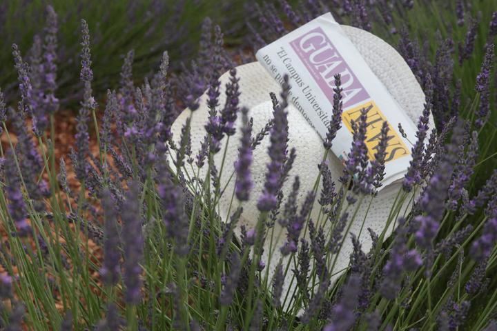 Algo menos de bochorno este lunes en Guadalajara, con los termómetros llegando a los 32ºC