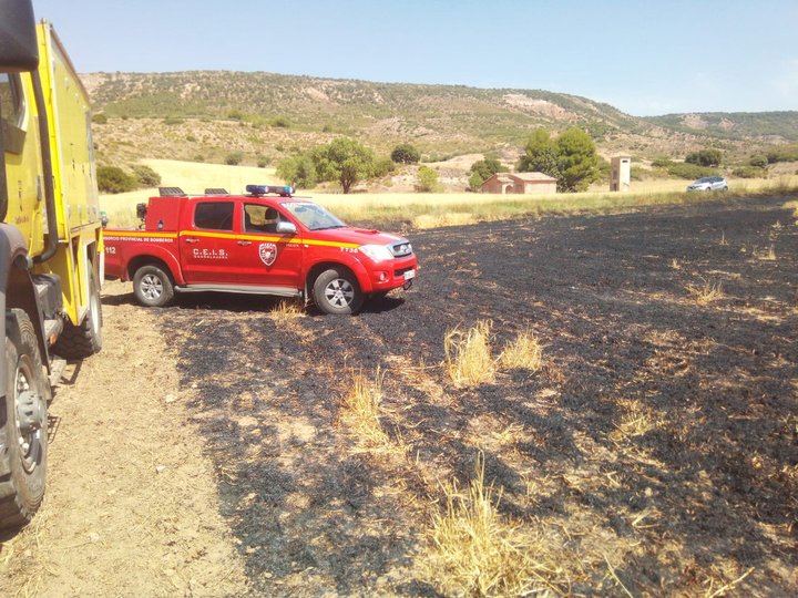 Un buitre electrocutado provoca un incendio en Muduex