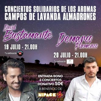 Comunicado: suspendido el concierto de David Bustamante del 19 de julio en los campos de lavanda de Almadrones