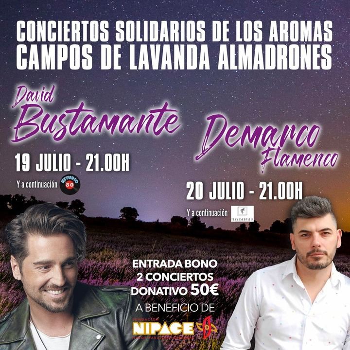 Comunicado: suspendido el concierto de David Bustamante del 19 de julio en los campos de lavanda de Almadrones
