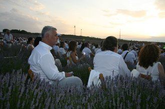 Brihuega celebra su VIII Festival de la Lavanda