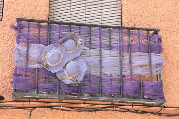 Lavanda en Brihuega. Foto : Eduardo Bonillas