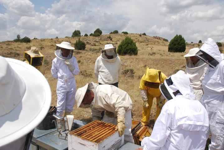 La “VIII Jornada de Apicultura” permite al apicultor reciclarse en manejo y sanidad apícola