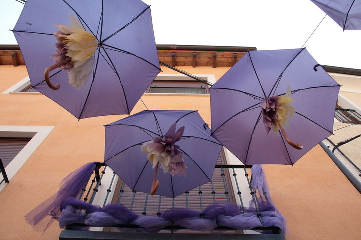 Lavanda en Brihuega. Foto : Eduardo Bonilla