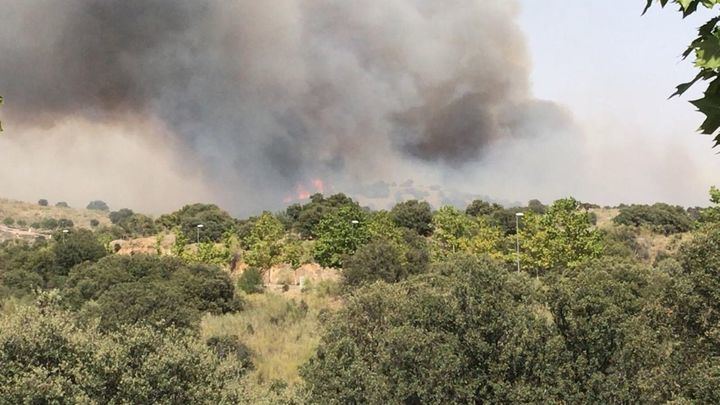 Se declara un incendio en una zona de bosque cercana a Brihuega