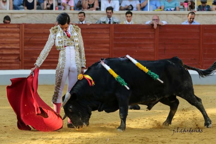 Miguel Polope, brillante ganador del VI Alfarero de Plata de Villaseca de la Sagra
