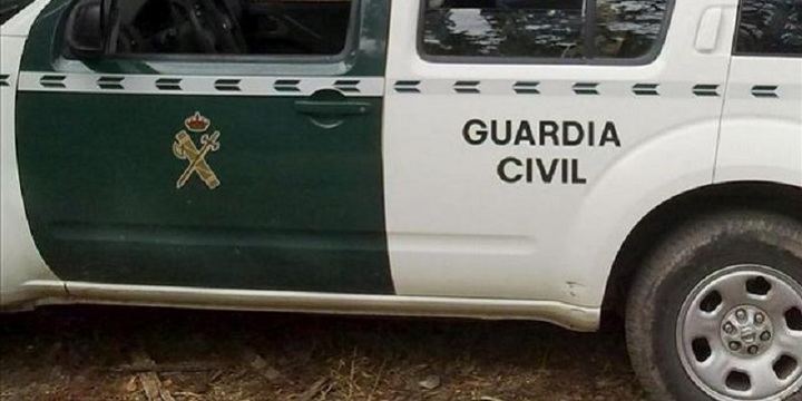 La Guardia Civil encuentra más de un centenar de aves electrocutadas