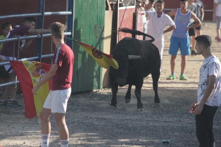 Primera suelta de reses en las Fiestas 2019 de Cabanillas
