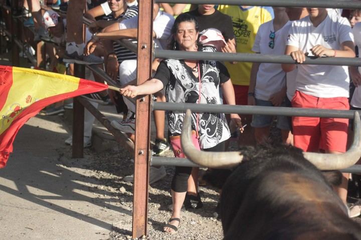 Primera suelta de reses en las Fiestas 2019 de Cabanillas