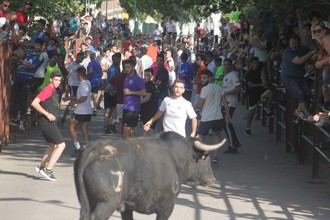Primera suelta de reses en las Fiestas 2019 de Cabanillas