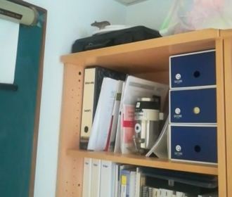 Denuncian que la aparición de ratas y ratones en el Hopital de Guadalajara obliga a cerrar varios quirófanos