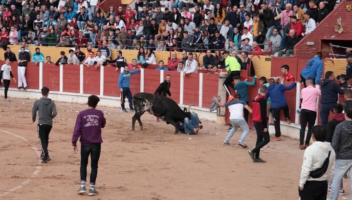Bonito broche para el último Encierro de las Ferias y Fiestas de Guadalajara 2019, buenas carreras y ninguna incidencia 