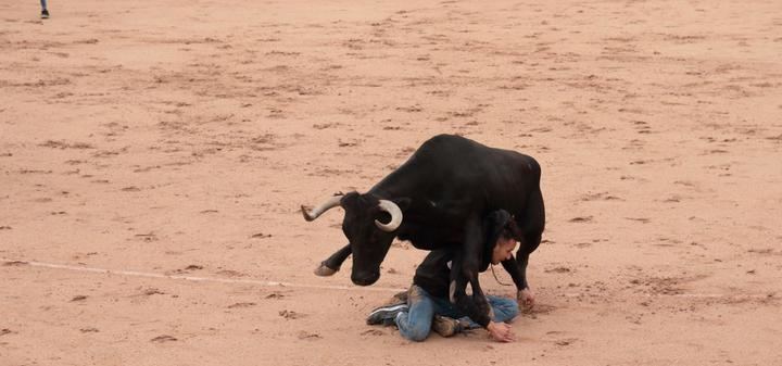 Foto : EDUARDO BONILLA