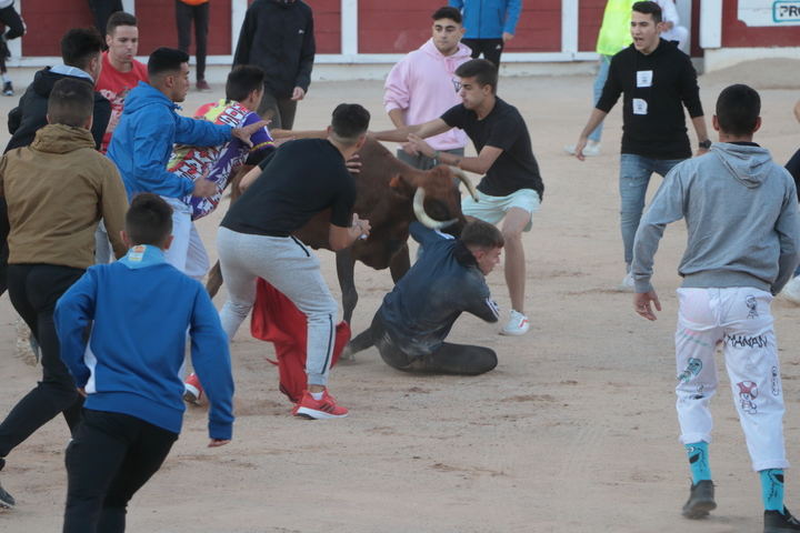 Foto : Eduardo Bonilla