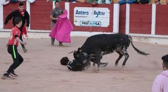 El Segundo Encierro de las Ferias y Fiestas de Guadalajara transcurre sin incidencias de gravedad, solo dos policontusionados