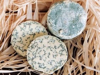 Savel, declarado el mejor queso azul de Espa&#241;a 2019
