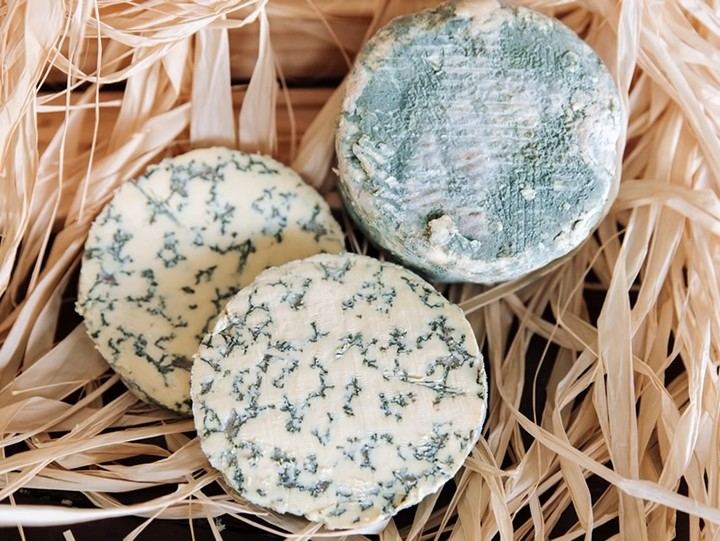 Savel, declarado el mejor queso azul de España 2019