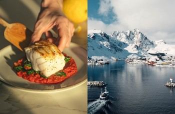 Inicia la temporada del Skrei, el bacalao noruego más codiciado