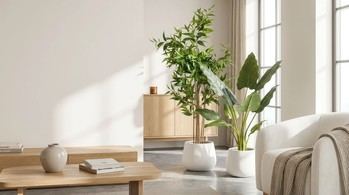 El crecimiento de las plantas artificiales en decoración moderna