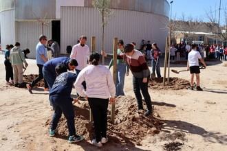 Azuqueca impulsa "Patios inclusivos" con la plantación de árboles en el CEIP Siglo XXI
