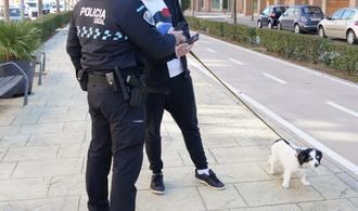 Se agota el plazo para el censo gratuito del ADN Canino en Alovera este mes de febrero