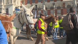 Los agricultores se manifiestan en Madrid en defensa del sector primario tradicional
