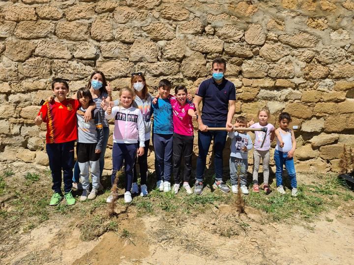Los niños y niñas del colegio de Alcocer plantan 30 pinos para la campaña ‘Un árbol por Europa’