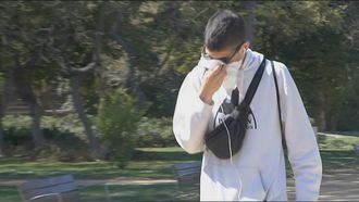 Los niveles de polen de llantén siguen disparados en prácticamente toda la Comunidad de Madrid