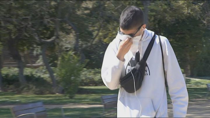 Los niveles de polen de llantén siguen disparados en prácticamente toda la Comunidad de Madrid