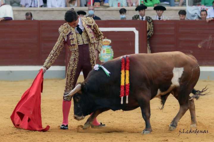 Gran ambiente en la Tercera Novillada clasifciatoria del VII CERTAMEN ALFARERO DE PLATA