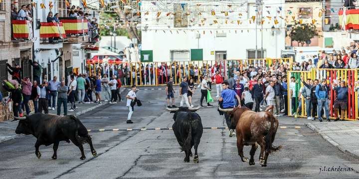 Villaseca de la Sagra, la Pamplona toledana en el ecuador de sus Ferias y Fiestas 