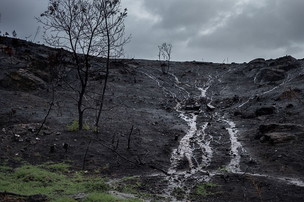 Greenpeace alerta del peligro de contaminación del agua por lluvias en las zonas incendiadas y demanda medidas para evitarla
