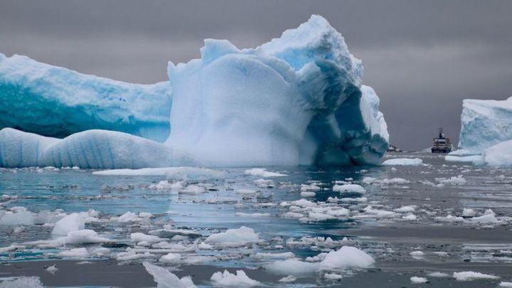 INCREÍBLE : Encuentran restos de nicotina y antidepresivos en aguas de la Antártida 