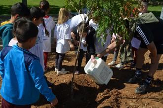 Los ni&#241;os de Yunquera de Henares plantan nuevos &#225;rboles y flores frente a su Colegio
