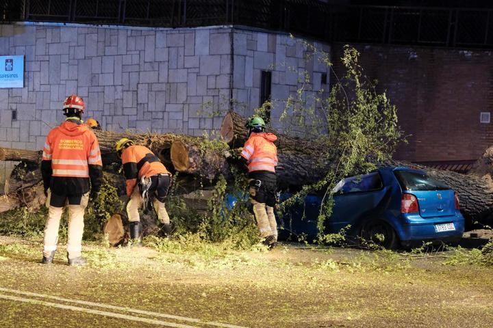 Foto : EDUARDO BONILLA