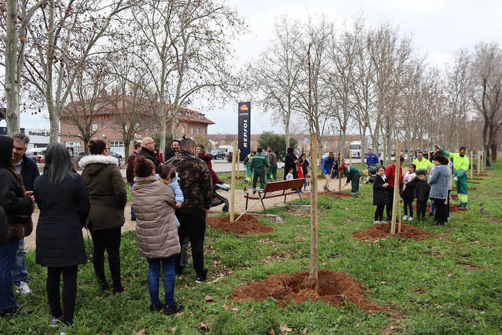 Vuelven las plantaciones del programa municipal 'En Azuqueca nace un bebé, nace un árbol'