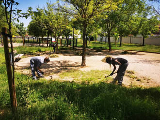 El Ayuntamiento de Azqueca contratará a 31 personas desempleadas y en riesgo de exclusión social en la segunda fase del Plan de Empleo 2019/2020