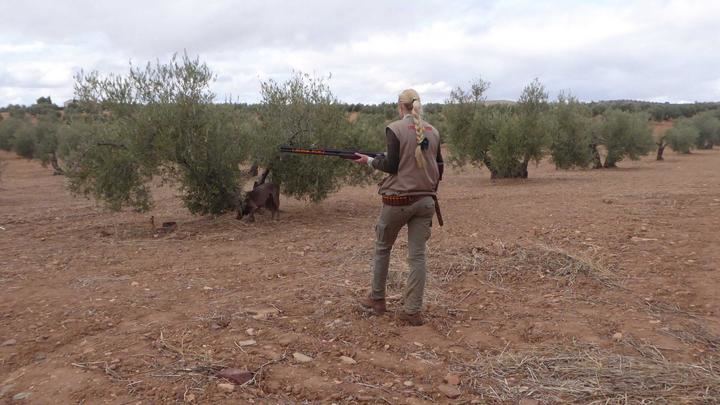 La temporada de caza cierra con buenos resultados en Castilla-La Mancha 