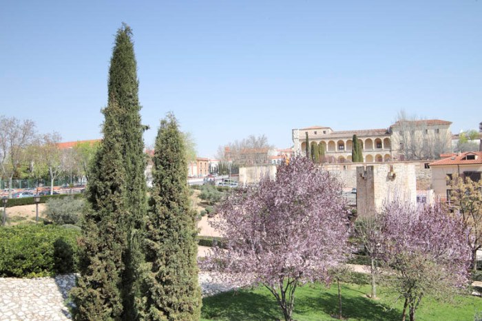 La mayoría de los Bienes de Interés Cultural de Guadalajara se encuentran en el casco histórico de la ciudad.