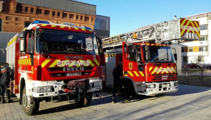 SE BUSCA por las calles de Palencia una boa constrictor de más de dos metros que se ha escapado
