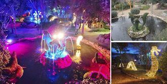 El Bosque Encantado y sus noches mágicas abren sus puertas para esta primavera y verano