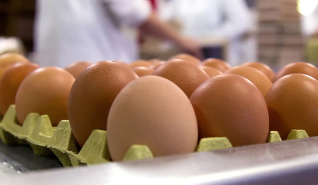 Crecen los brotes epidémicos en la Comunidad de Madrid, con récord de casos con origen alimentario