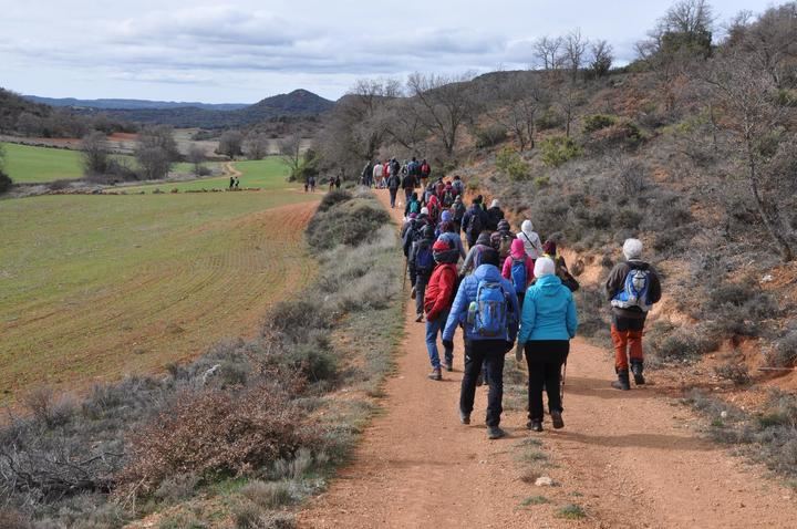 CAMPAÑA DE ECOLOGISTAS EN ACCIÓN : Caminos públicos de Guadalajara. Peligro de extinción