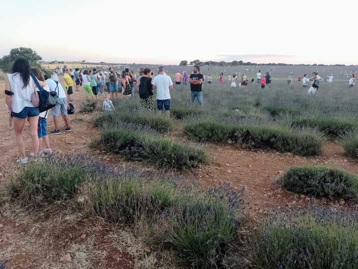 Foto : EDUARDO BONILLA