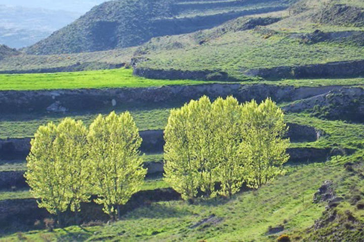 La Universidad de Alcalá y la asociación ADR forman gratuitamente online a más de 250 desempleados en medioambiente y turismo rural