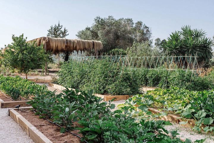 Can Domo, el oasis de la gastronomía y de la calma en Ibiza
