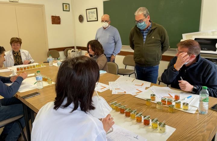 El Centro de Investigación Apícola de Marchamalo ha acogido la cata de las mieles que se presentan a los premios ´Gran Selección Campo y Alma´